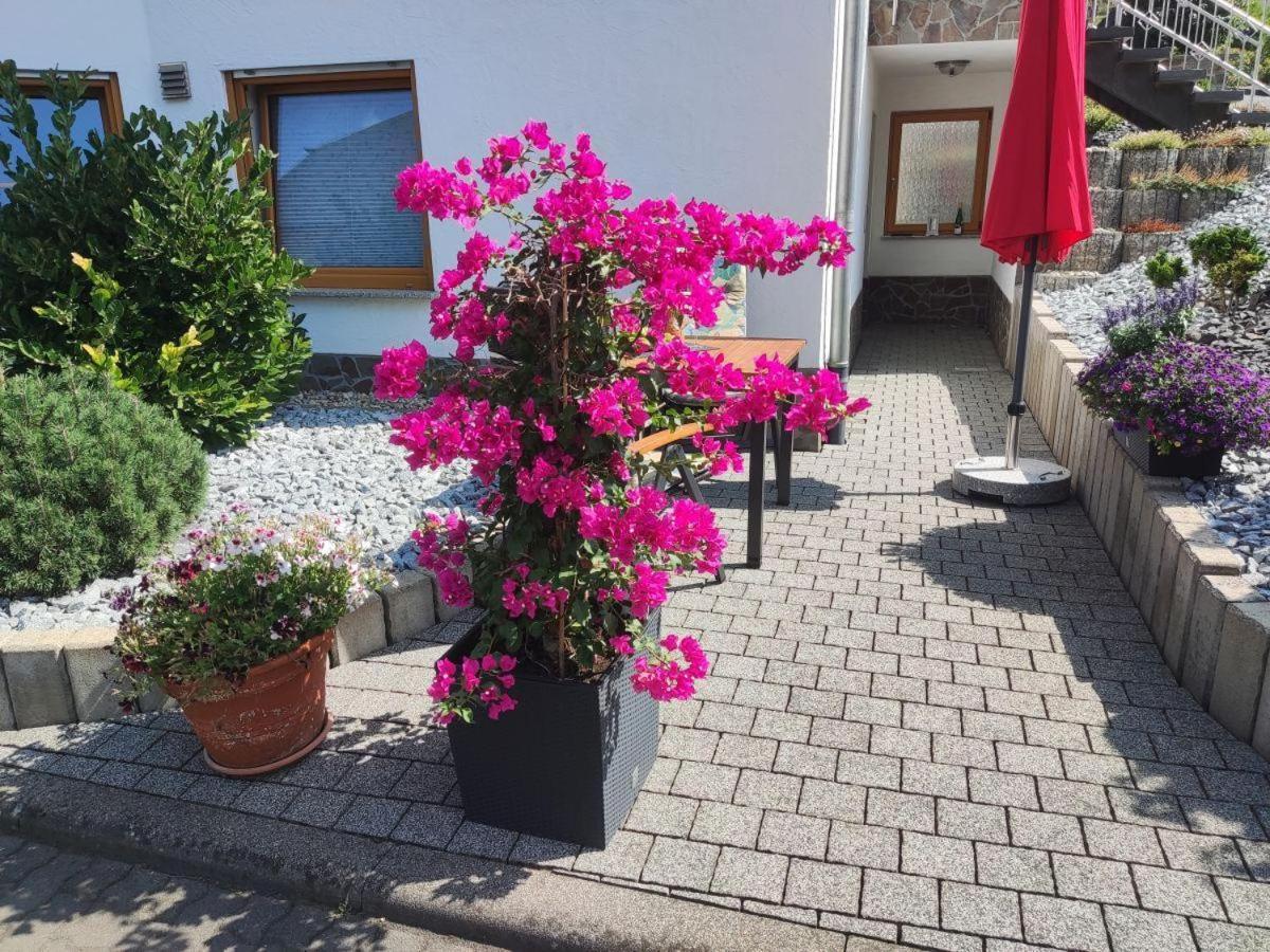 Ferienwohnung Moselzeit Alken Esterno foto